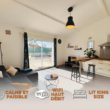 Appartement Le Cosy De La Ramee Tournefeuille Dış mekan fotoğraf